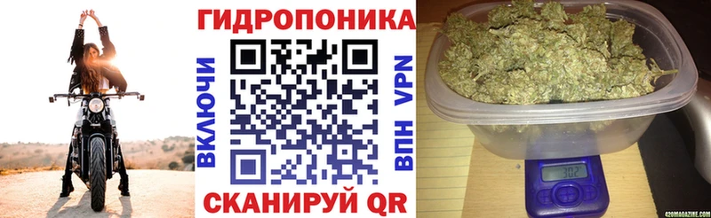 Купить где Анапа Конопля сатива